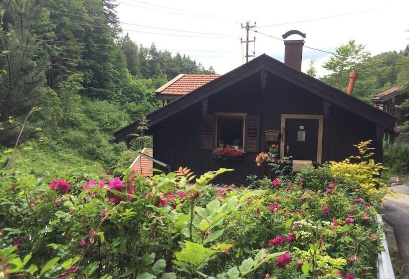 Wildromantisches Appartement Am Bachlauf