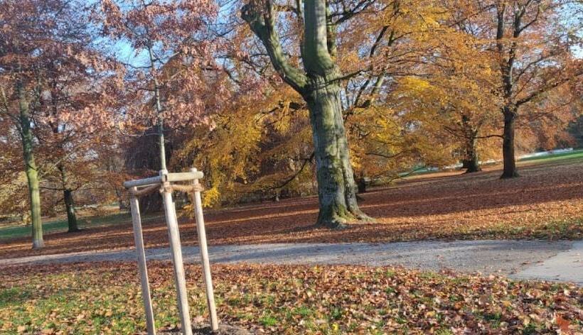 Apartment Osterstraße 123