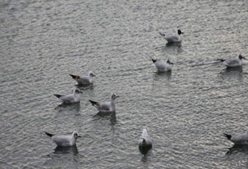 Apartment Osterstraße 123