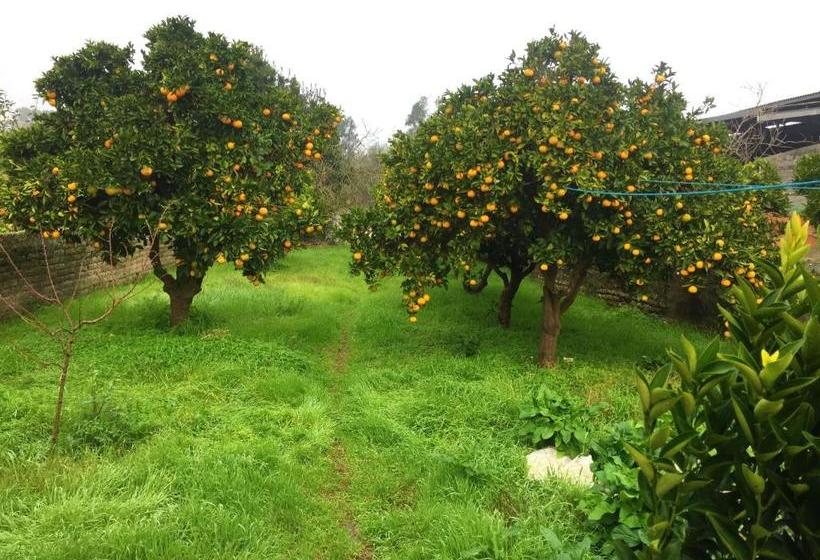 2 Bedrooms House With Balcony And Wifi At Mira 5 Km Away From The Beach