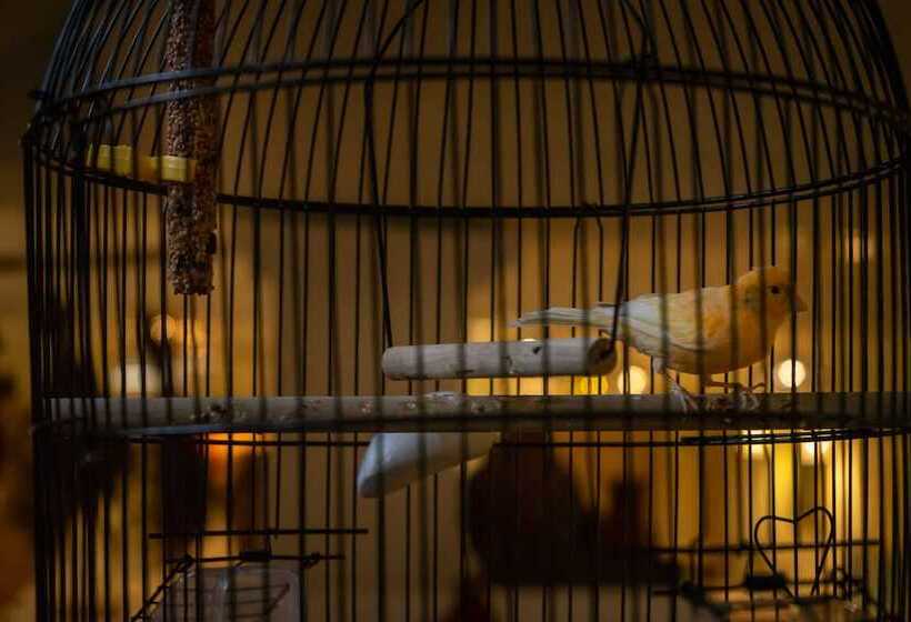 酒店 Gostevaya Izba On Istra