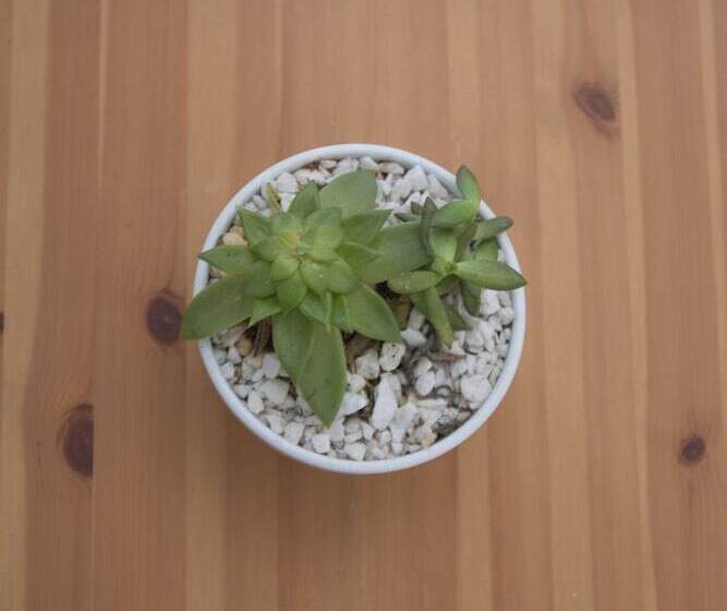 펜션 Douskos Guesthouse