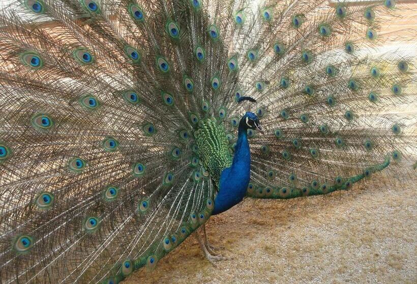 پانسیون Posada De La Costurera De Aranjuez