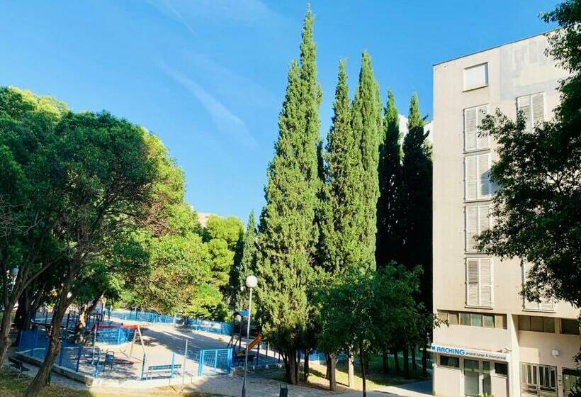 Split Right Placecozy And Completely New