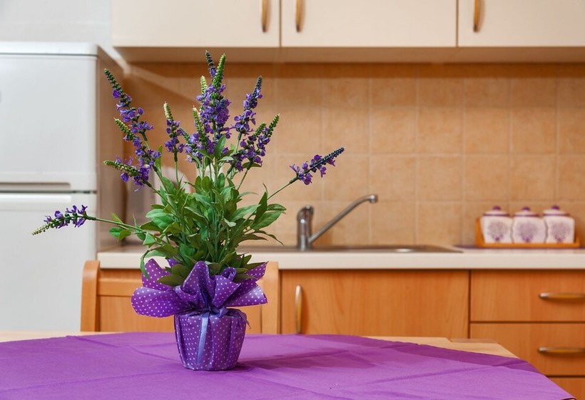 Apartments Mande And Kate