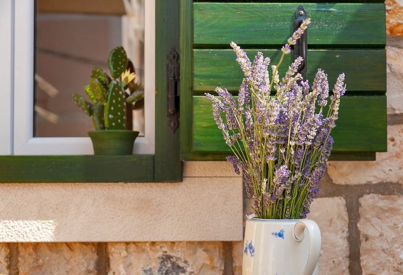 Apartments Mande And Kate