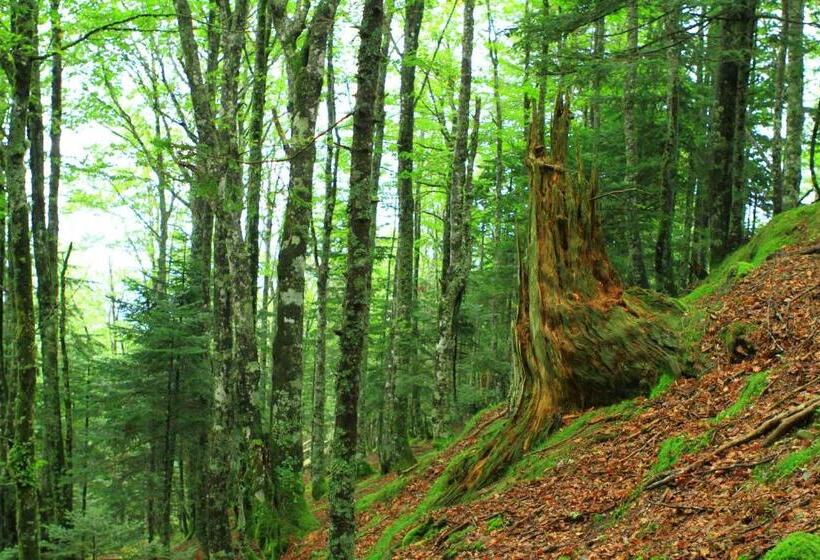 민박 Maison D Hôtes Et Campement Mariposa