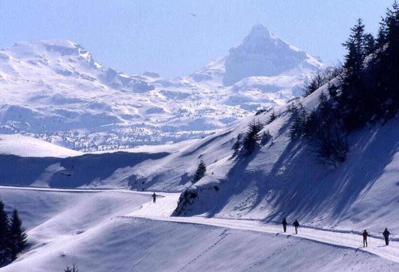 민박 Maison D Hôtes Et Campement Mariposa