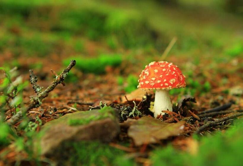 مبيت وإفطار Maison D Hôtes Et Campement Mariposa