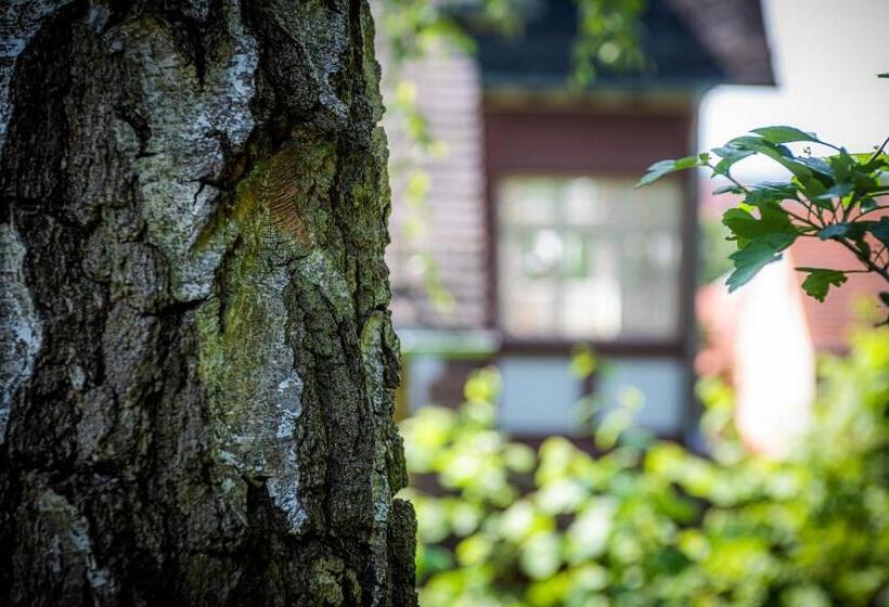 Blumeins   Das Refugium