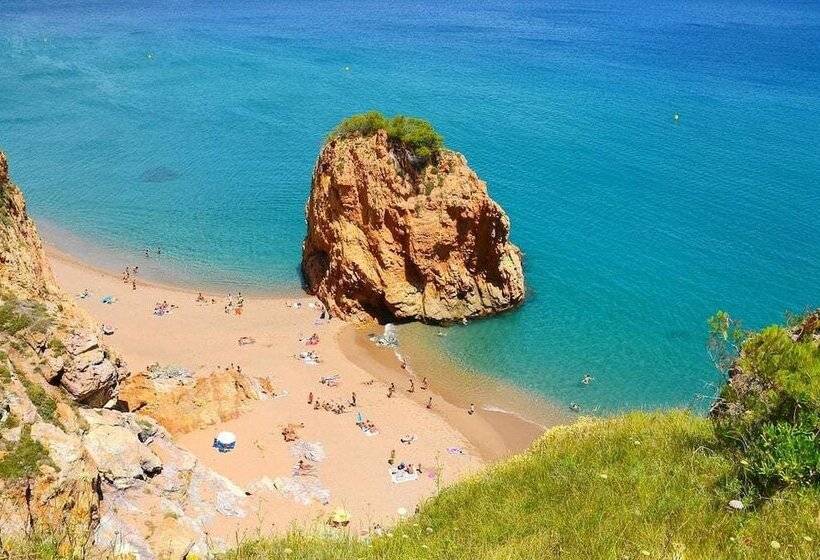 هتل Camping El Maset