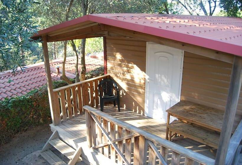 هتل Camping El Maset