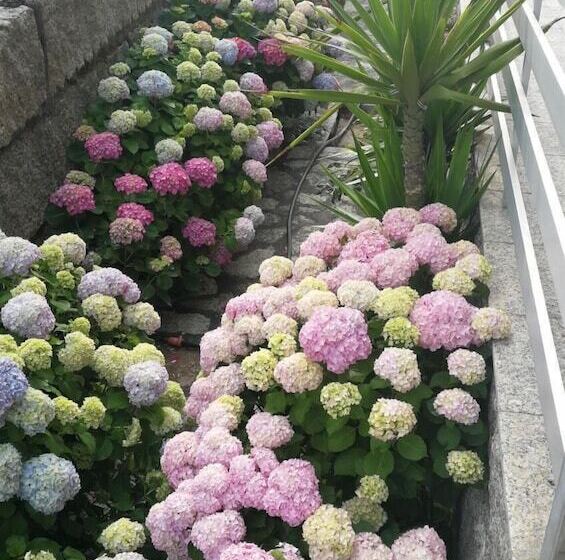 Apartamentos O Colmado