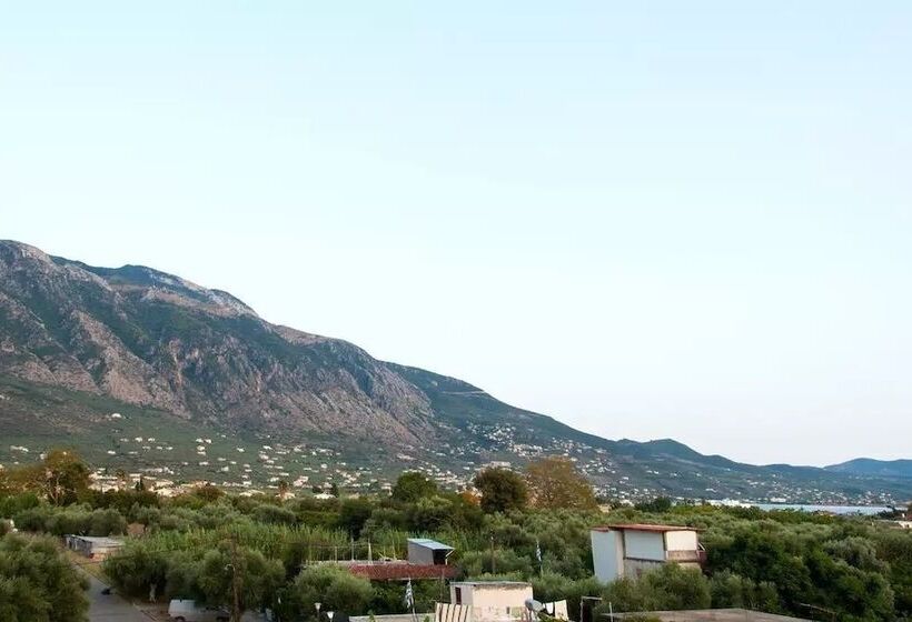 Enjoy A Stunning View In The City