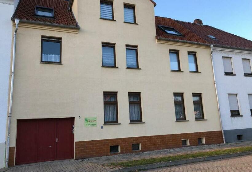 Ferienwohnungen Heideblick