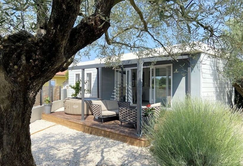 酒店 B&b Ulika Rovinj   Adult Only