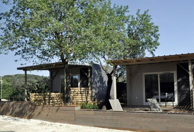 酒店 B&b Ulika Rovinj   Adult Only