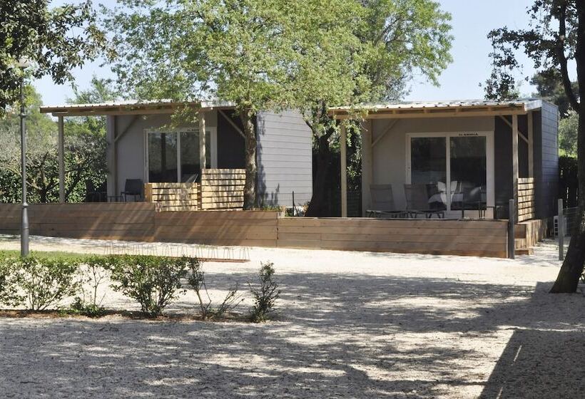 酒店 B&b Ulika Rovinj   Adult Only