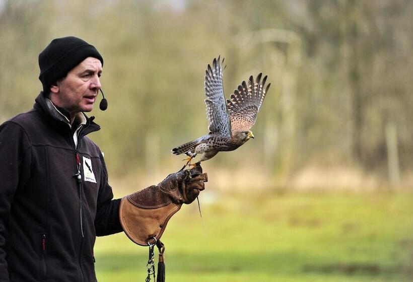 Kalkberg Ferienwohnungen