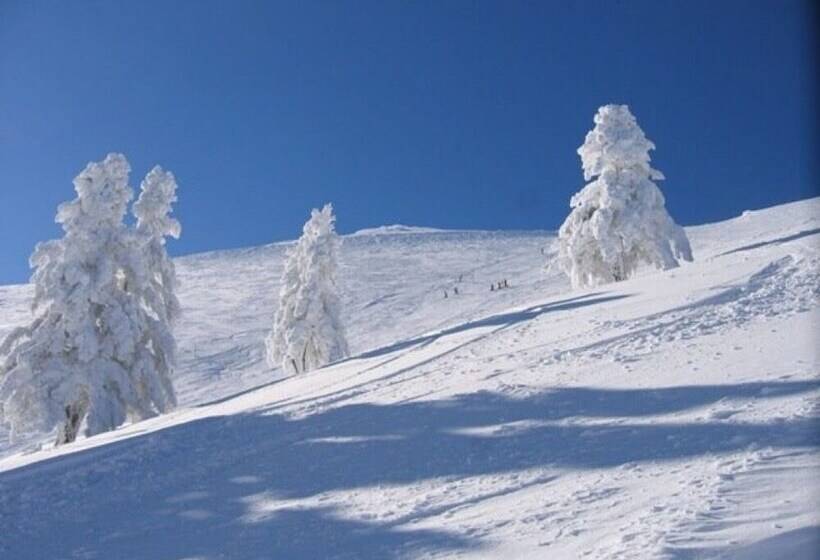 Luxury Chalet Vila With Amazing View