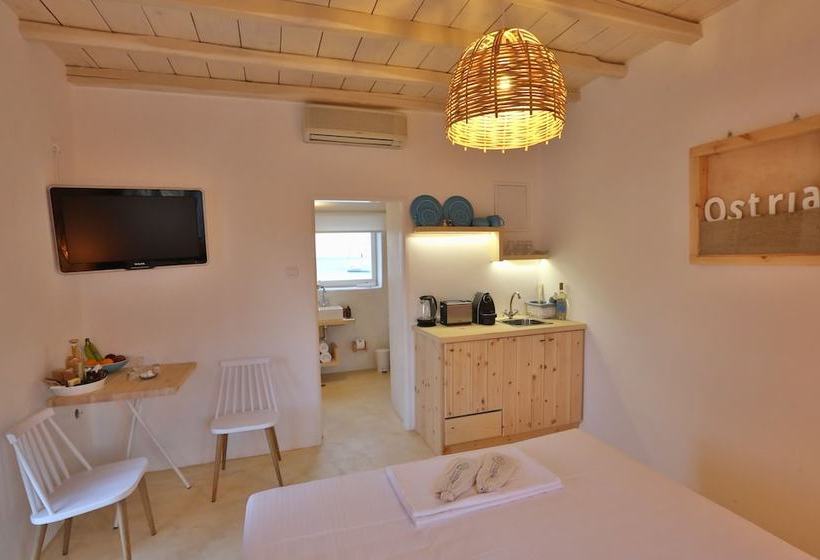 Maistrali Studio Ostria