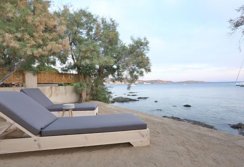 Maistrali Studio Ostria