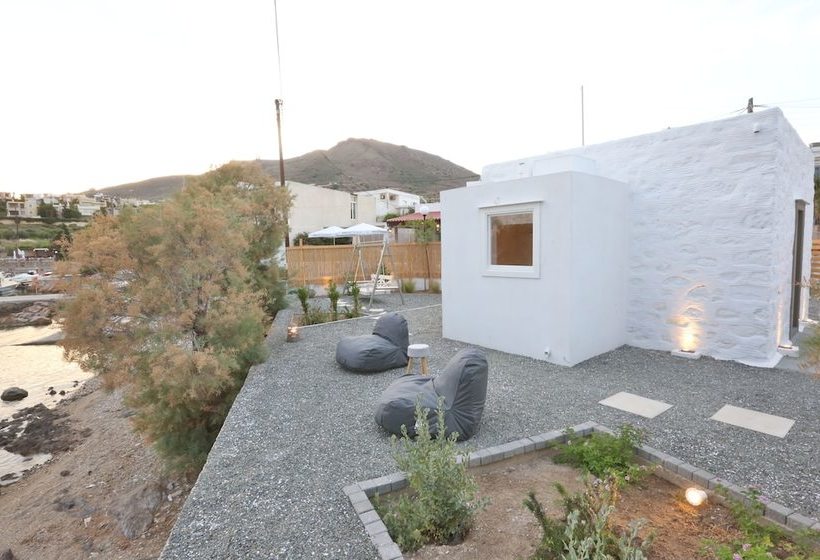 Maistrali Studio Ostria