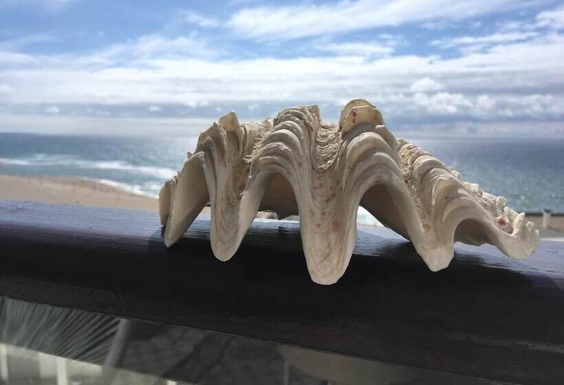 Salty House   Casa Salgada