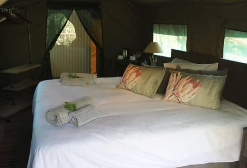 Camp Bethel
