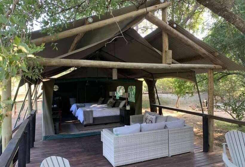 Camp Bethel