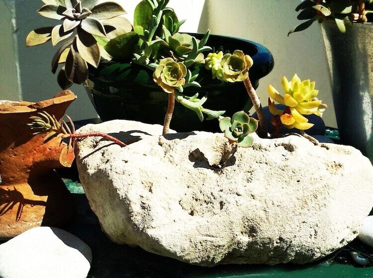 The Roof   Flat Sea View In Aegina Town