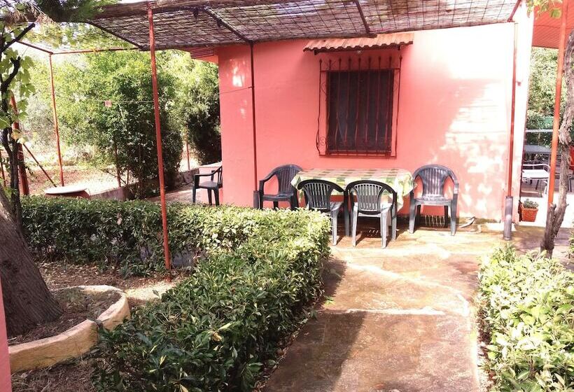 Wooden House Near Sea