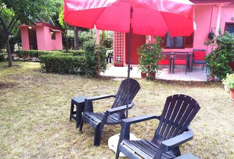 Wooden House Near Sea