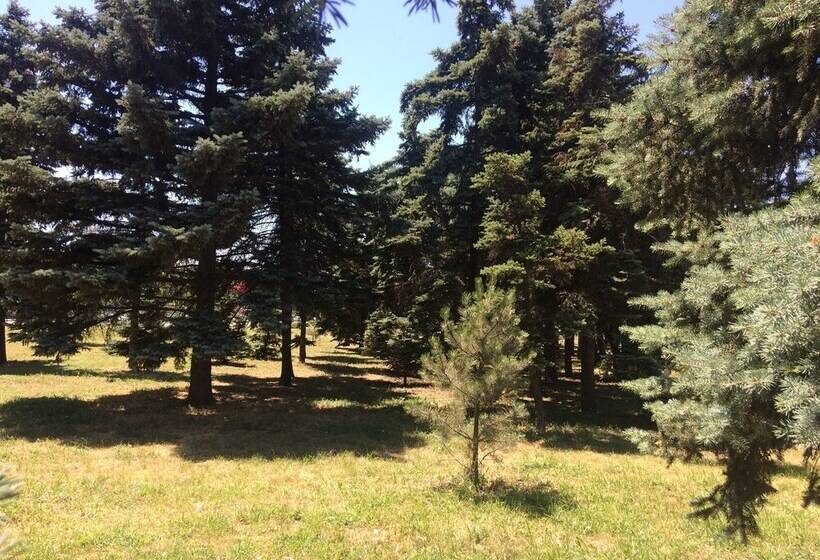 1st Man In Space Apartments