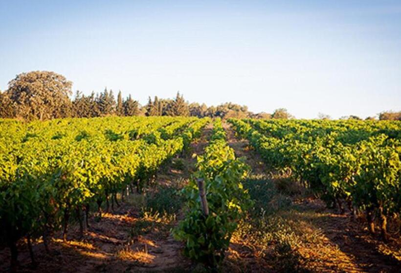 צימר Chateau Borie Neuve