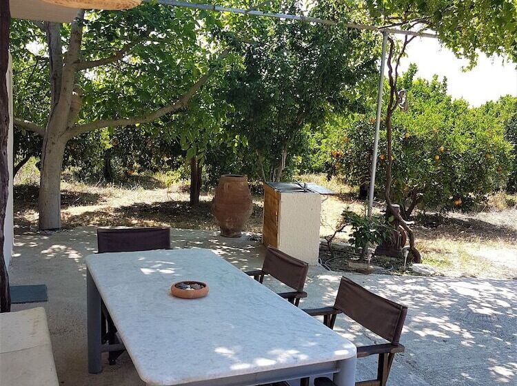 Farm House In Bio Orange Plantation