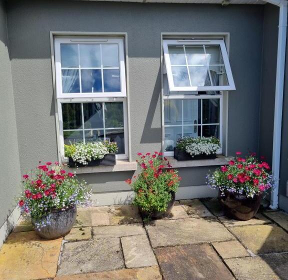 Highfield House Bed And Breakfast Collinstown