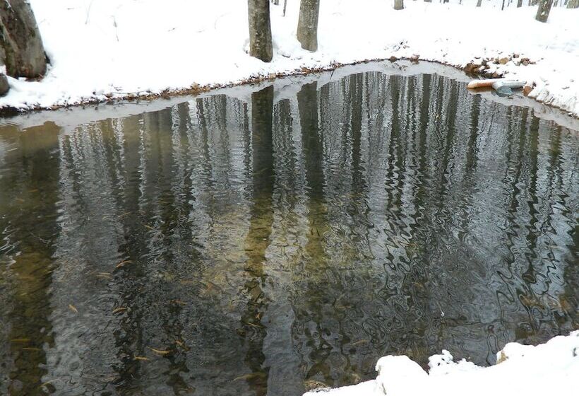 فندق Turbaza Serebryany Klyuch