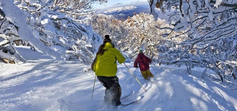 Chalet Apartments   Mt Buller Apartment Rentals