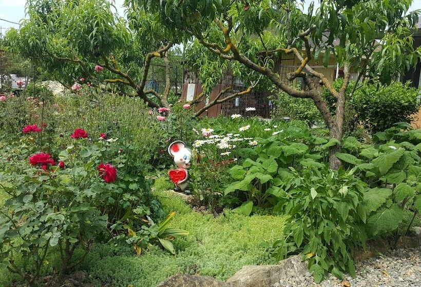 بنسيون Flowering Garden