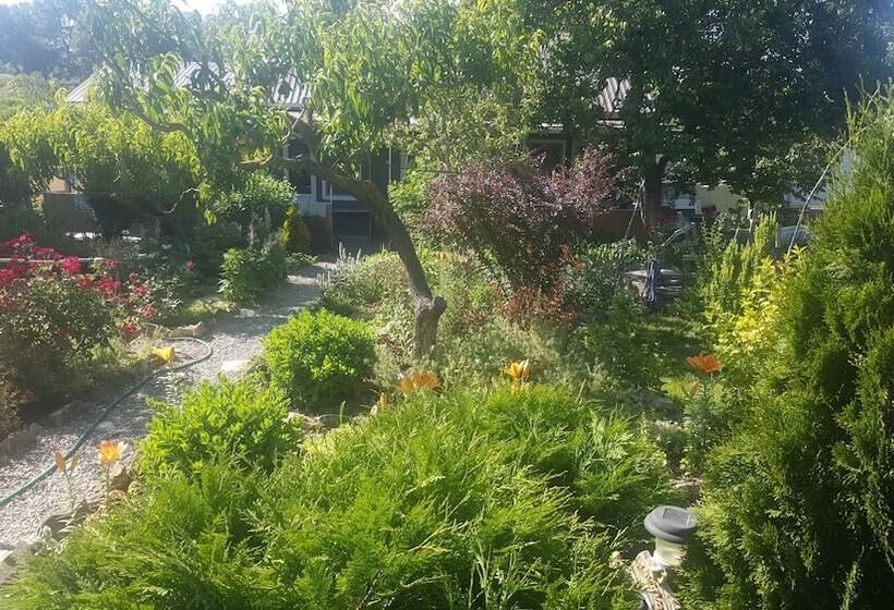 بنسيون Flowering Garden