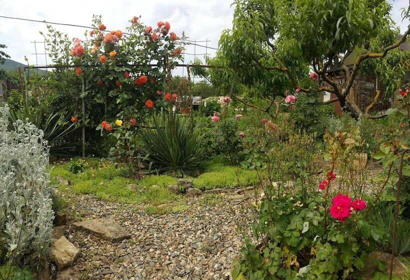بنسيون Flowering Garden