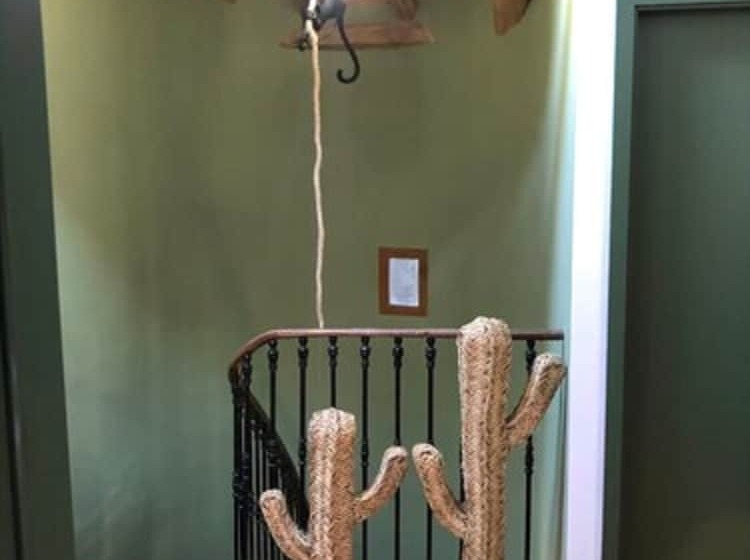 פנסיון La Maison D Obinat