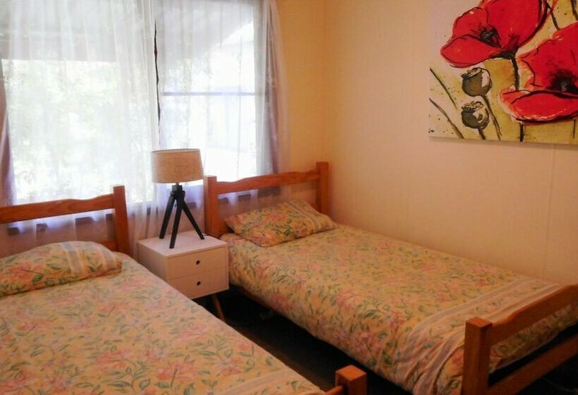 Tea Tree Hat Head   6 Hutcheson Street  No Sheets Or Towels Provided