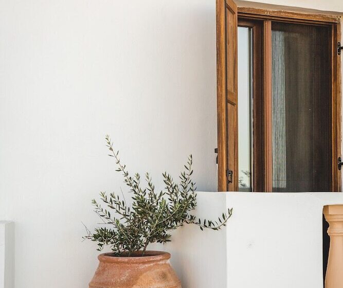 Theoxenia Kasos Luxury Apartments