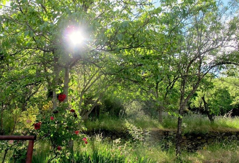 Apartamentos Balcón Del Cielo