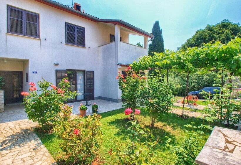 Apartment Hasima 116