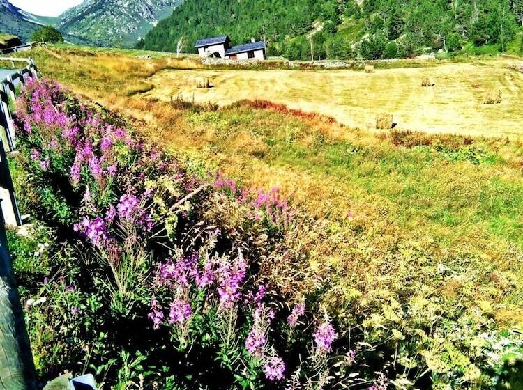 مبيت وإفطار Chalet Rec Dels Noguers