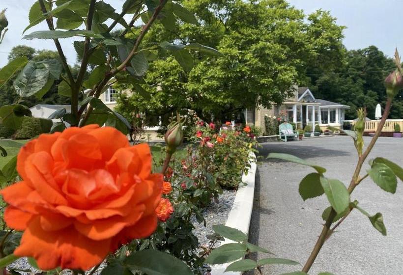 Bed and Breakfast Copperfield House