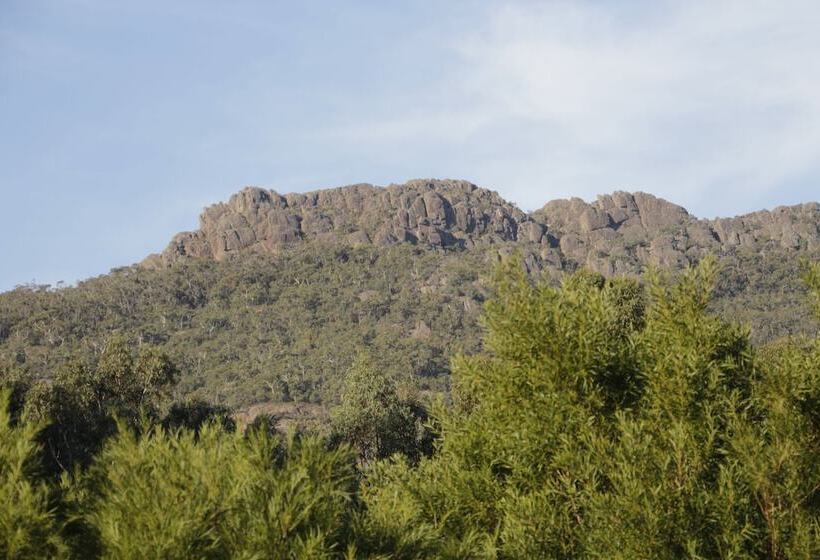 Dacelo
